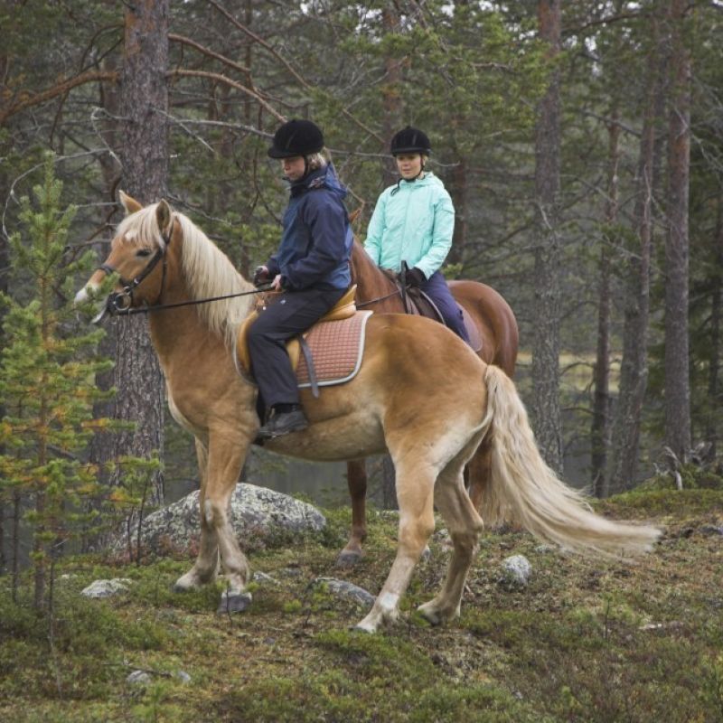 horse riding trail