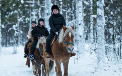 What to Wear for Your First Horse Riding Trek in Lapland: A Beginner’s Checklist