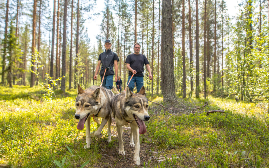 What is appropriate clothing for an autumn husky hike in Levi?