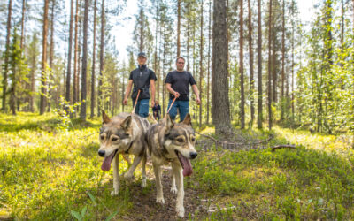 What is appropriate clothing for an autumn husky hike in Levi?