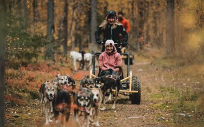 Koe keskiyön aurinko husky-safarilla!