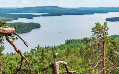 Family-friendly summer apartments in the heart of Finnish Lapland