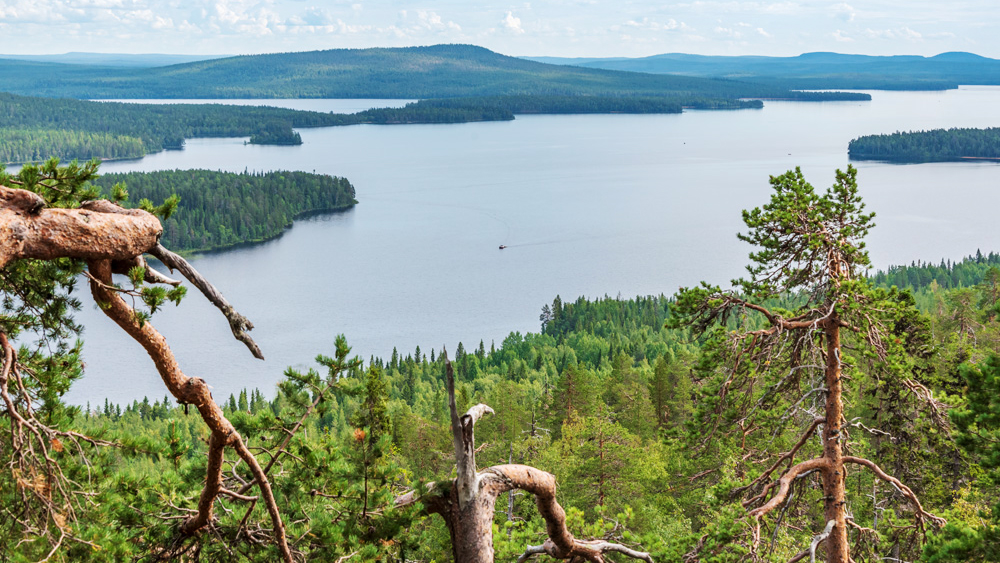 Family-friendly summer apartments in the heart of Finnish Lapland