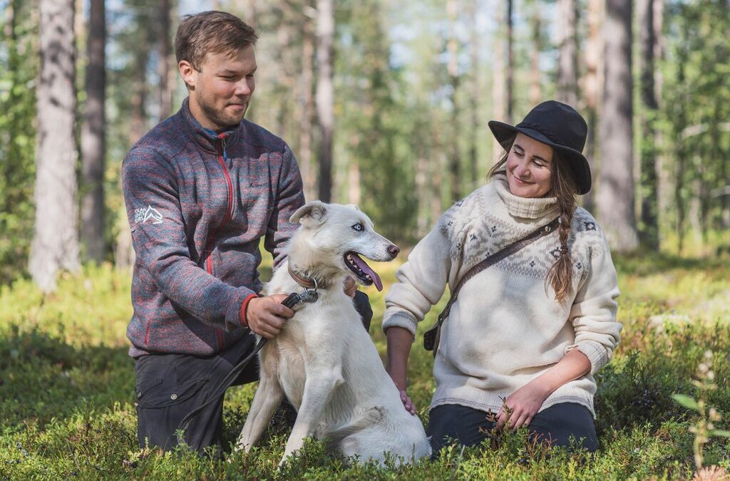 Summer husky hiking: A unique Lapland accommodation package