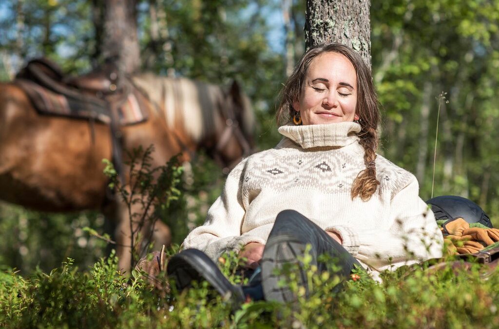 What are the best seasons for horse tours in Lapland?
