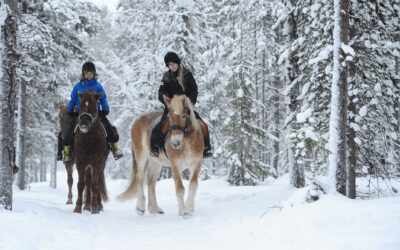 Can beginners participate in horse riding tours in Finnish Lapland?