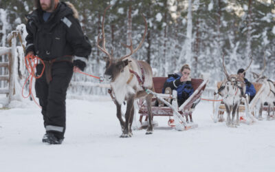 What is the best time of year for reindeer experiences in Finnish Lapland?