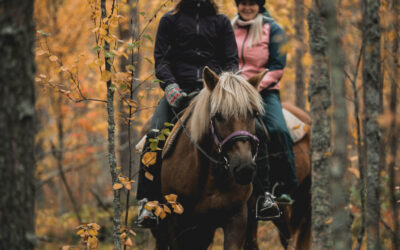 Autumn horseback adventures in Levi: Ride through Lapland’s golden forests