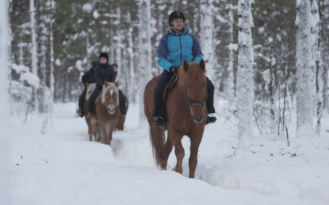 Winter horseback adventures through Lapland’s snow-covered forests