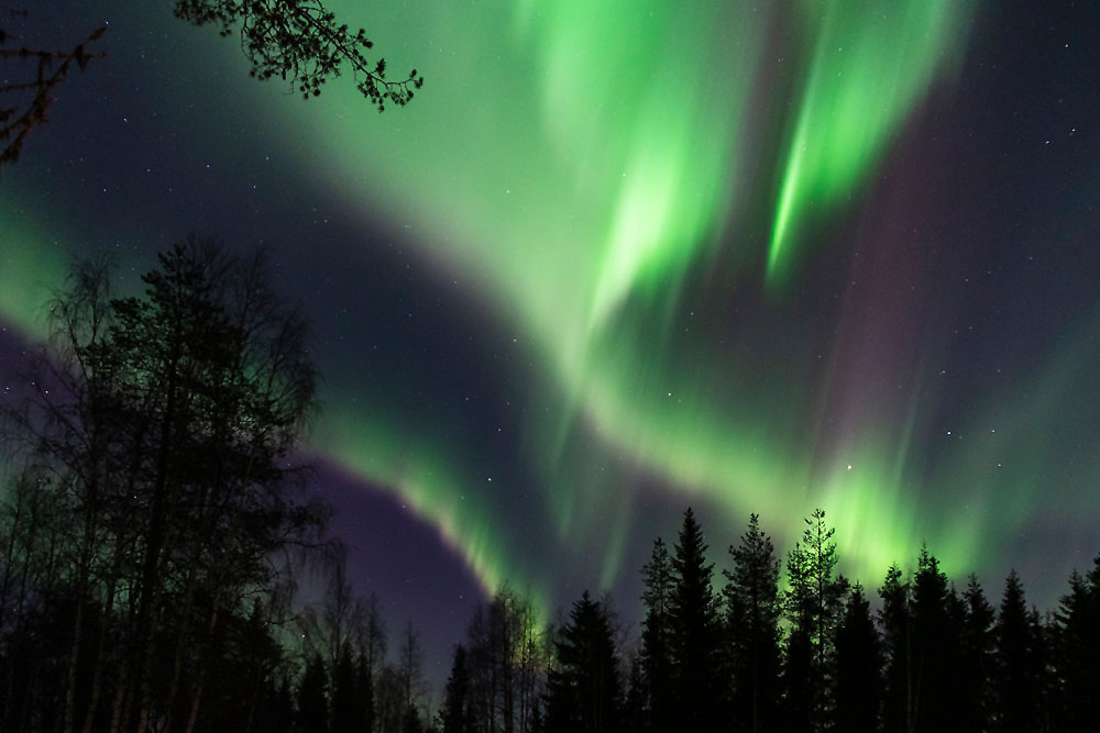 Can you see the Northern Lights during a husky safari in Lapland in autumn?