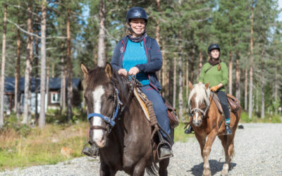 Can beginners enjoy horse riding adventures during the fall season in Kittilä?