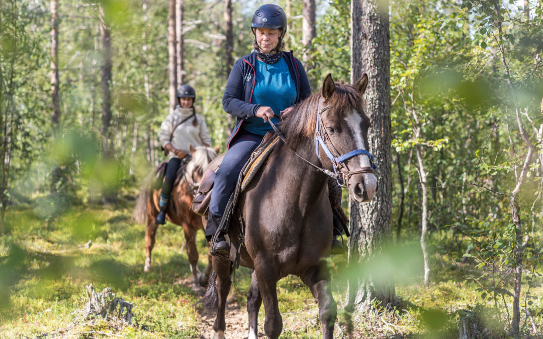 Why is fall considered the perfect season for horse riding adventures in Finnish Lapland?