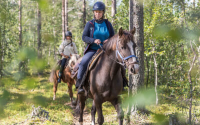 Why is fall considered the perfect season for horse riding adventures in Finnish Lapland?