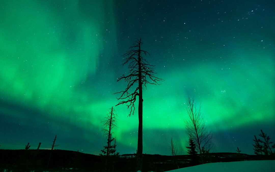 Can you see the Northern lights during autumn in Posio?