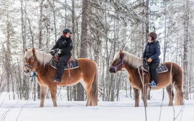 Mitkä ovat suomenhevosten vahvuudet vaellusratsastuksessa?