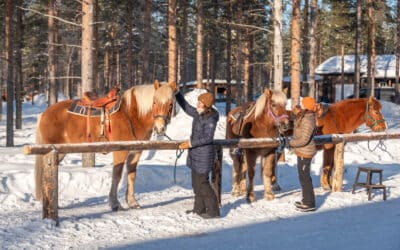 Can children participate in Lapland horseback tours?