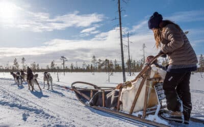 What should I wear for a husky sledding experience in Lapland?