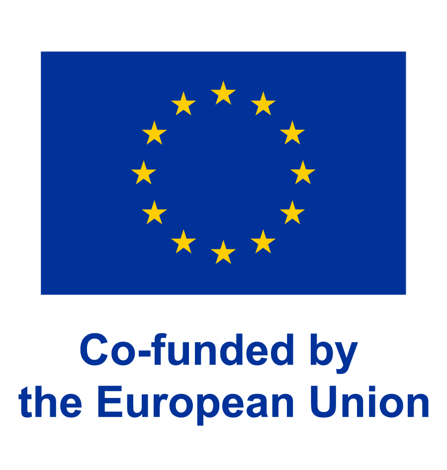 Co-funded by the European Union