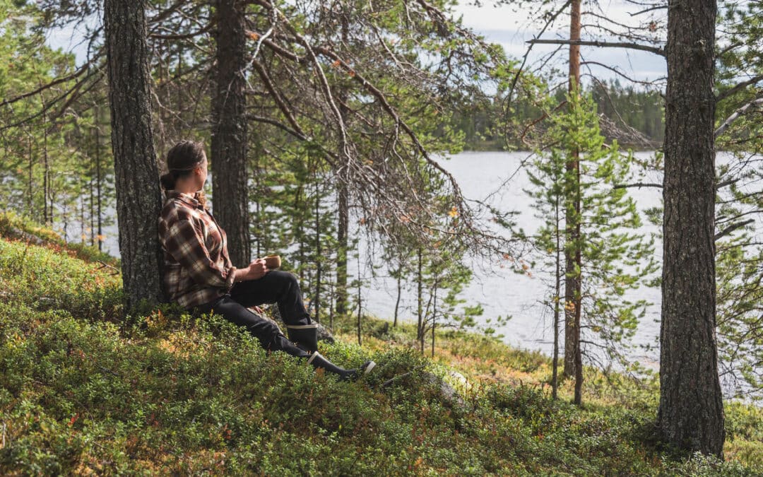Is Posio the Most Peaceful Place in Lapland? A Summer Experience You Won’t Forget