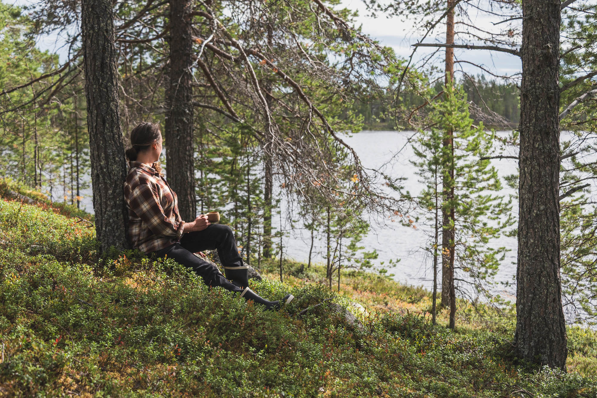 Posio Finland summer landscape with peaceful lake and forest under soft midnight sun light