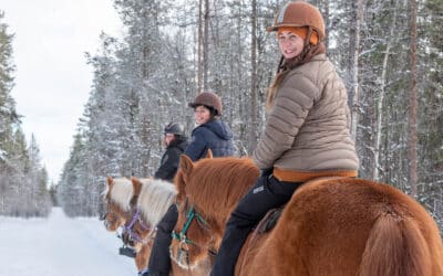 Horse Riding in Levi in April